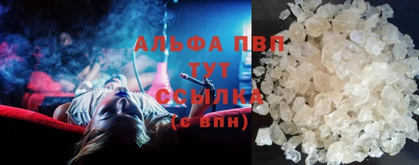 индика Елабуга