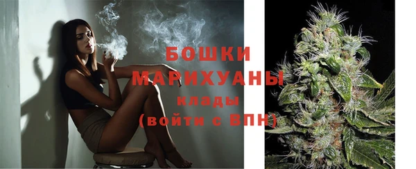 индика Елабуга