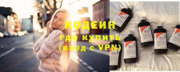 трава Ельня