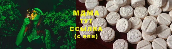 трава Ельня