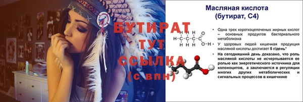 индика Елабуга