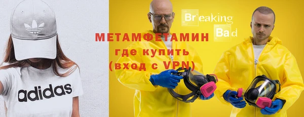 трава Ельня