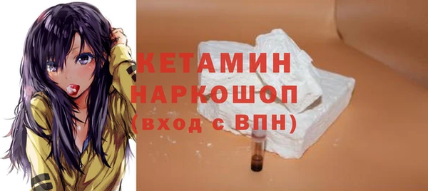 индика Елабуга