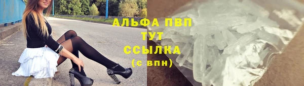 трава Ельня