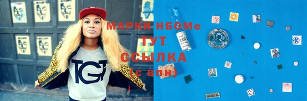 индика Елабуга