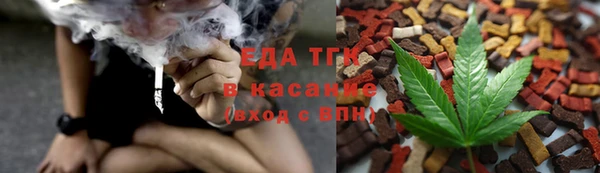 индика Елабуга