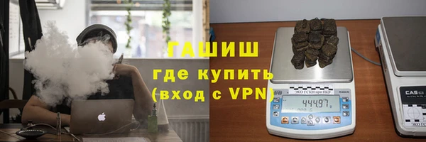 индика Елабуга