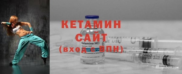 индика Елабуга