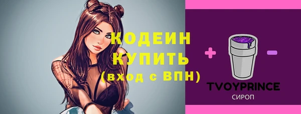 индика Елабуга