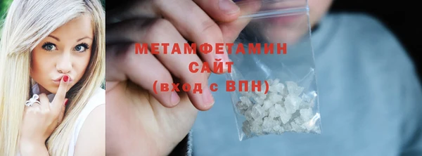 трава Ельня