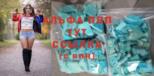 индика Елабуга