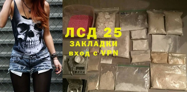 индика Елабуга