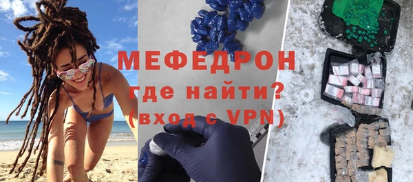 индика Елабуга