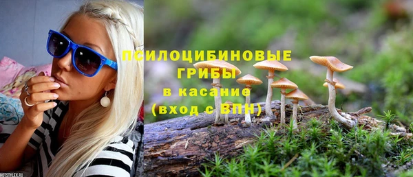 индика Елабуга