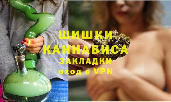 индика Елабуга