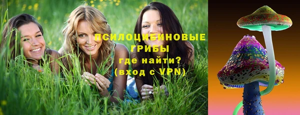индика Елабуга