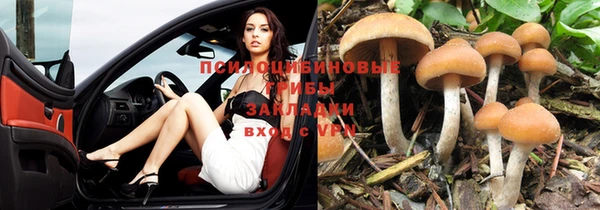 mdma Елизово