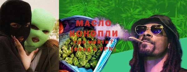 индика Елабуга