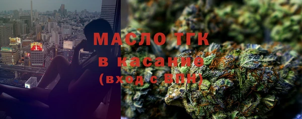 трава Ельня