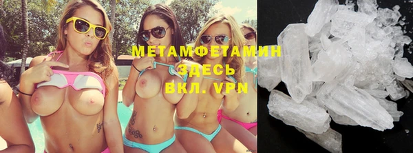 трава Ельня
