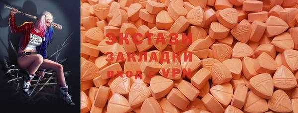 индика Елабуга