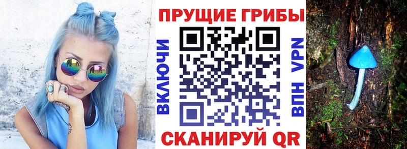 Купить  Егорьевск  Галлюциногенные грибы MAGIC MUSHROOMS 