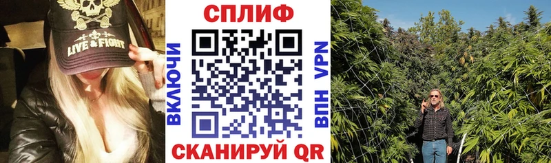 Конопля гибрид Егорьевск